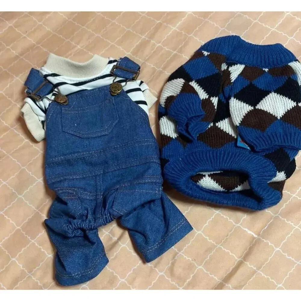 Dog clothes